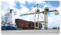 Demurrage Dissertation