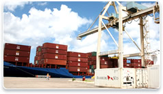 Cargo Services