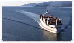 Export Requirements
